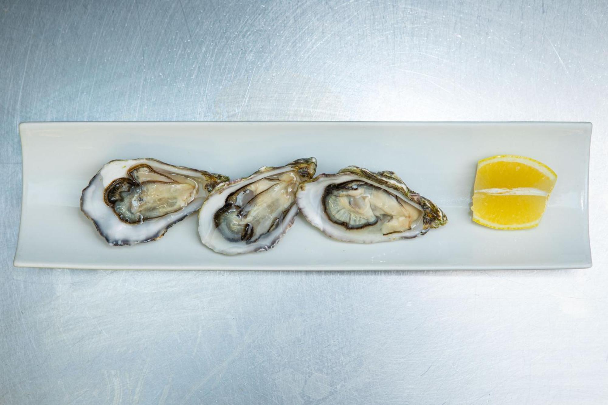 Ashes Seafood Restaurant Accommodation Dingle Esterno foto