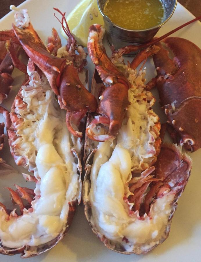 Ashes Seafood Restaurant Accommodation Dingle Esterno foto