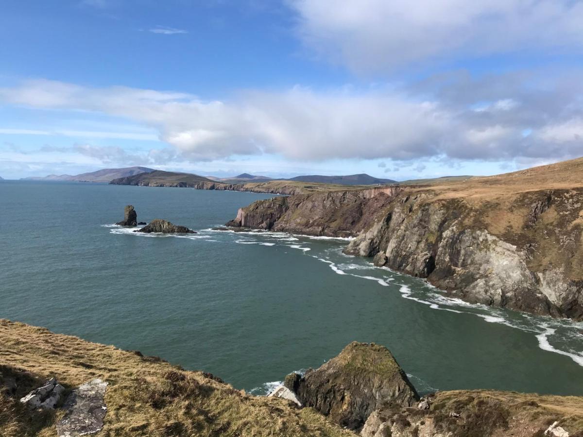 Ashes Seafood Restaurant Accommodation Dingle Esterno foto